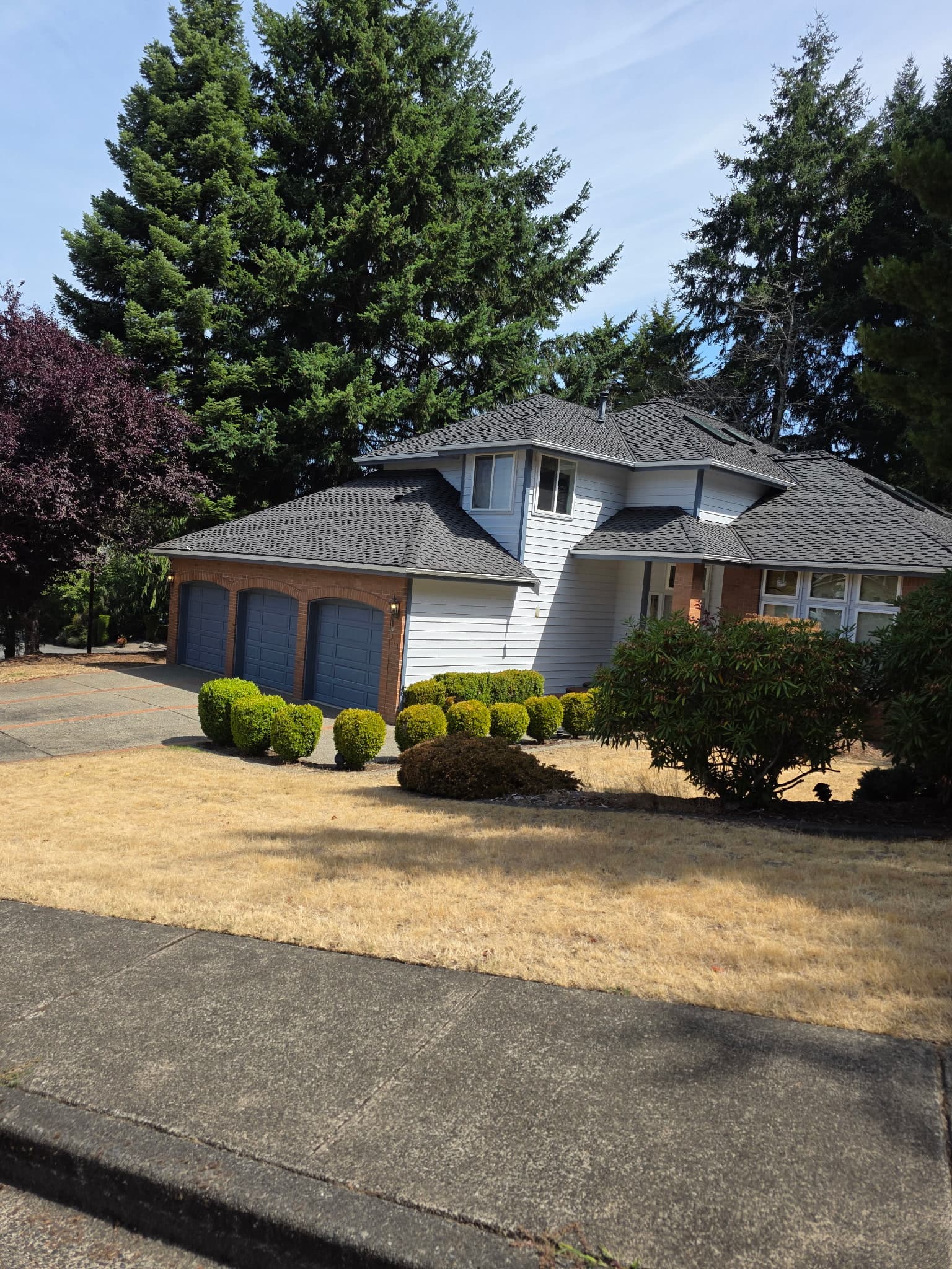 Professional painter working on house exterior